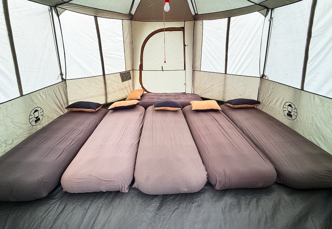 Octagon 3